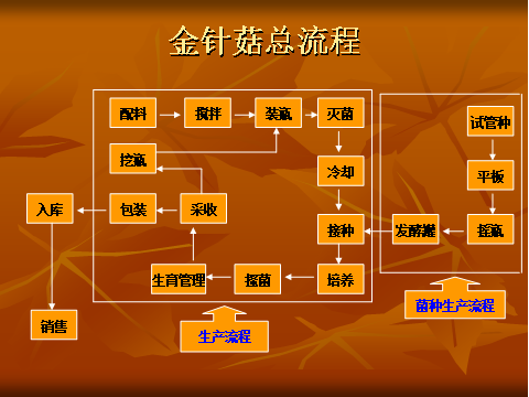 1512608048138067.png 圖片2.png